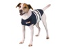 Donate a Thundershirt!